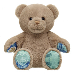 Well Wishes Teddy Bear