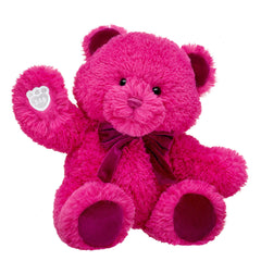 Fuchsia Gifting Teddy Bear