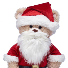 Santa Beard