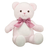 Baby Pink Teddy Bear with Gifting Bow
