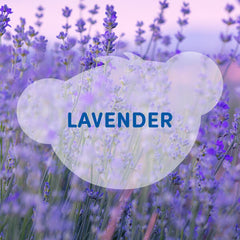 SCENTiments™ Lavender Scent