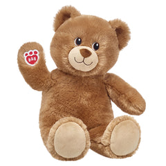 Lil' Cub® Brownie Teddy Bear "Get Well Soon" Gift Set