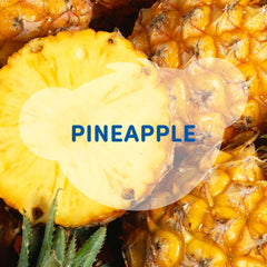 Pineapple Axolotl Stuffed Animal Fruit Dress Gift Set with Pineapple Scent