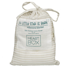 Monthly Milestone Baby Blanket