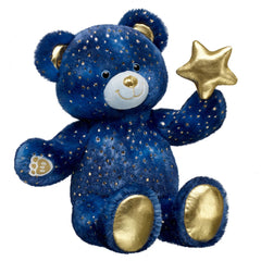 Star Wishes Teddy Bear
