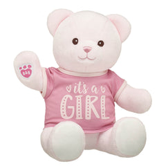 Baby Pink Teddy Bear "It's a Girl" Gift Set